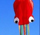 3D 4M Large Octopus Kite entertaining outdoor toy