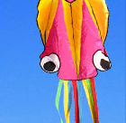 3D 4M Large Octopus Kite entertaining outdoor toy