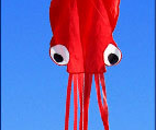 3D 4M Large Octopus Kite entertaining outdoor toy