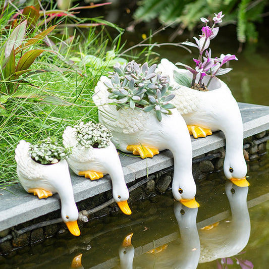 Nice duck, flower pot balcony, yard design